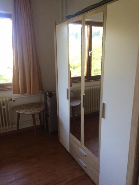 Dachsberg im Schwarzwald Schlesierhaus 아파트 외부 사진