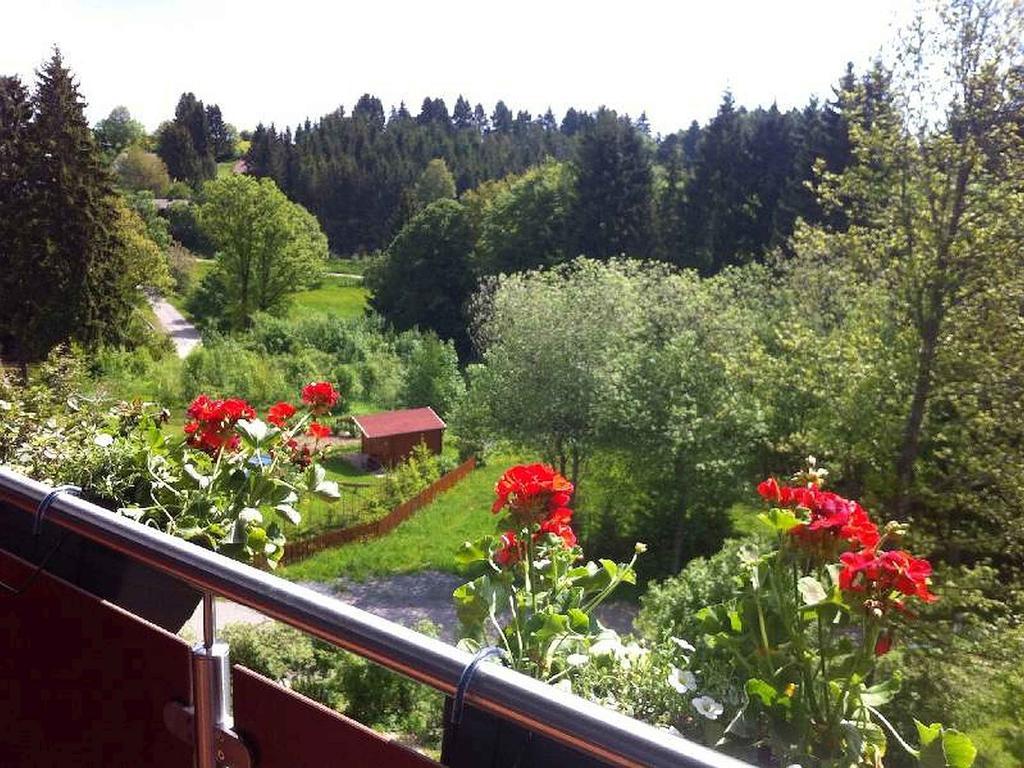 Dachsberg im Schwarzwald Schlesierhaus 아파트 외부 사진